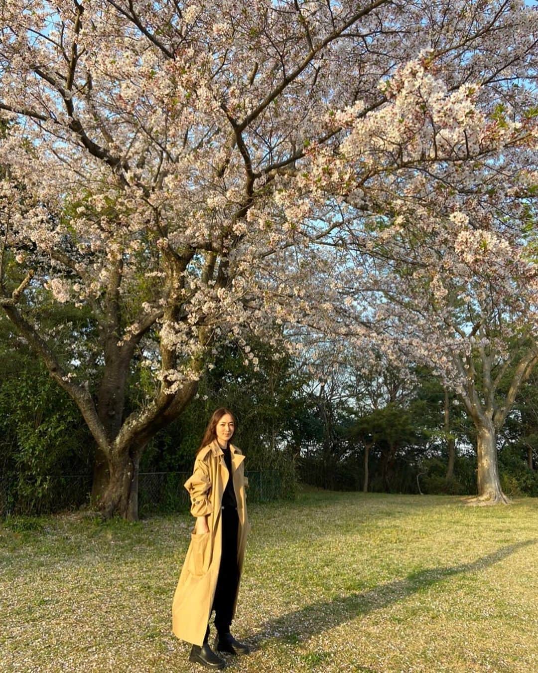 霧島れいかのインスタグラム：「私の背を軽く超えた小中高生の 甥っ子4人が集まり 楽しかった束の間の春休み。 また思い出深い桜となりました🌸 甥っ子が撮ってくれた写真は特別で 嬉しい大切な宝物です✨  photo #mynephew  #cherryblossoms #2021」