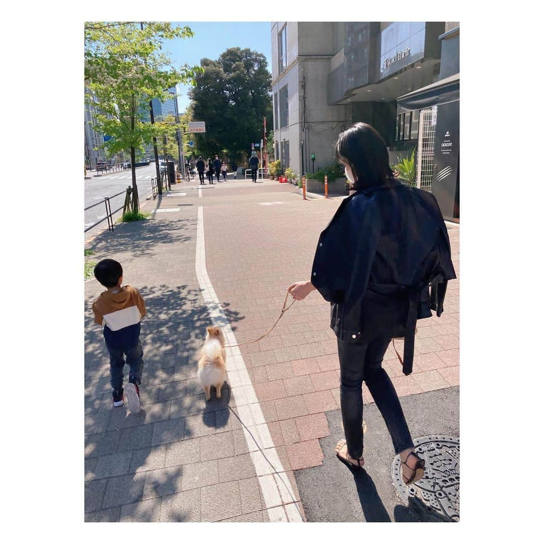 秋元玲奈さんのインスタグラム写真 - (秋元玲奈Instagram)「絶好のお散歩日和☀️ 友人家族の🐶と沢山遊ばせてもらい、息子も大満足🥰 #週末シリーズ #doggy #お散歩 #outfit」4月11日 20時30分 - rena_akimoto