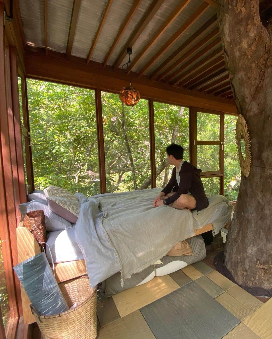 江幡塁さんのインスタグラム写真 - (江幡塁Instagram)「子供の頃憧れた夢のツリーハウス。 @treeful.treehouse のオーナーの憧れを形にしたツリーハウスには子供の頃の憧れ、自然との共存、未来へ繋ぐ環境への取り組み、思想がたくさん詰まっていて圧倒的な迫力と共に大自然の中で生きてる自分を感じ、原点に戻れました。  木の上で火を焚いて、ウクレレまで聴けて最高の時間でした。 秘密基地みたいで、ゆっくり語れる時間も本当に夢のような時間でした。  @treeful.treehouse @masarushimabukuro  #treasure #名護　#treehouse」4月11日 21時20分 - ruiebata