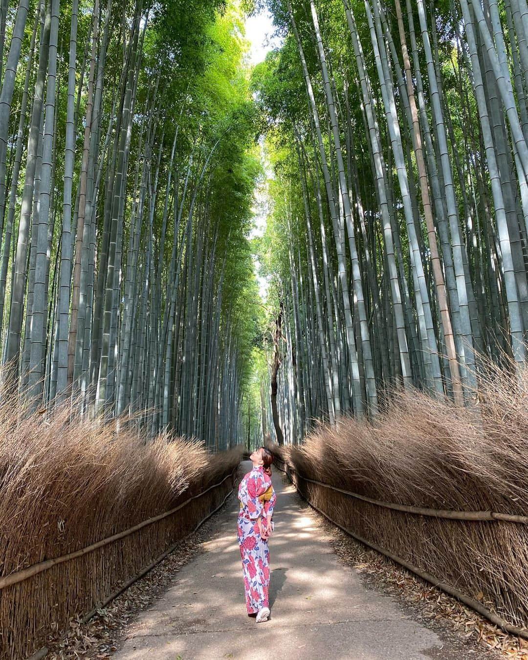 徳本夏恵（なちょす）さんのインスタグラム写真 - (徳本夏恵（なちょす）Instagram)「﻿ ﻿ ﻿ ﻿ ﻿ ﻿ 心も体もデトックスされた京都旅🍵﻿ いつでも中身のある人間ではいたいなって思うけど、﻿ 中身を磨くのってとっても根気がいるし、﻿ 外見も含めて自分磨きはいつも自分との闘いだなぁと。﻿ ﻿ まだまだだなぁと思えるうちは何度も立ち上がれば良いんだよって言い聞かせてる☺️﻿ ﻿ ﻿ ﻿ 最近ヴィエンナちゃんとのサウナが定番になりつつあるけどやっぱり京都でも行きたくなって旅行でもサウナ三昧でした。笑笑﻿ ﻿ ﻿ ﻿ ﻿ ﻿ ﻿ #京都#嵐山#京都観光 #kyoto#japan#浴衣は宿の人が用意してくれたの着ていきました#なちよのぼやき#最近話すの躊躇ってたけど#七転び八起きが座右の銘です＾＾」4月11日 22時07分 - nachos_kimono