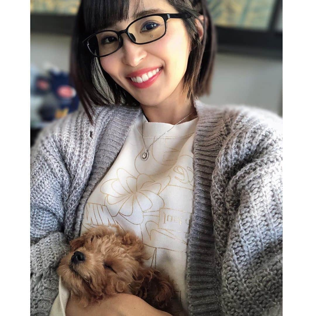 新田朝子さんのインスタグラム写真 - (新田朝子Instagram)「勉強＆お仕事 with momo🐶 ぐっすりお昼寝してくつろいでいる姿に癒される。（首絞めてるみたいに見えるけど、絞めてないよ。顎乗せてるだけだよ） . #眼鏡女子 #大学院生 #フリーアナウンサー #ピラティスインストラクター #トイプードル #タイニープードル #ティーカッププードル #こいぬ #こいぬすたぐらむ #犬スタグラム #いぬのいる暮らし #ペットのいる生活 #インコと犬 #新しい家族 #犬好きな人と繋がりたい #tinypoodle #teacuppoodle #toypoodle #doglovers #dogstagram #🐩」4月12日 3時32分 - asako.nitta