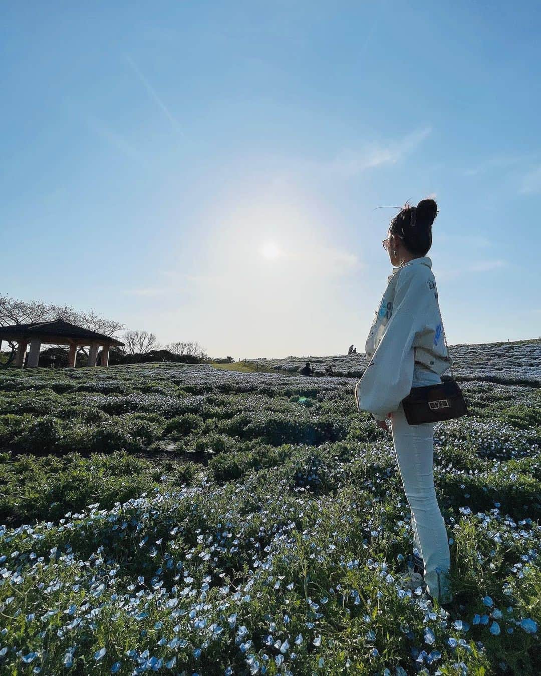 RINOのインスタグラム：「・ なんとかって花ꕤ*.ﾟ ・ #名前忘れた🙁💭 #white code」