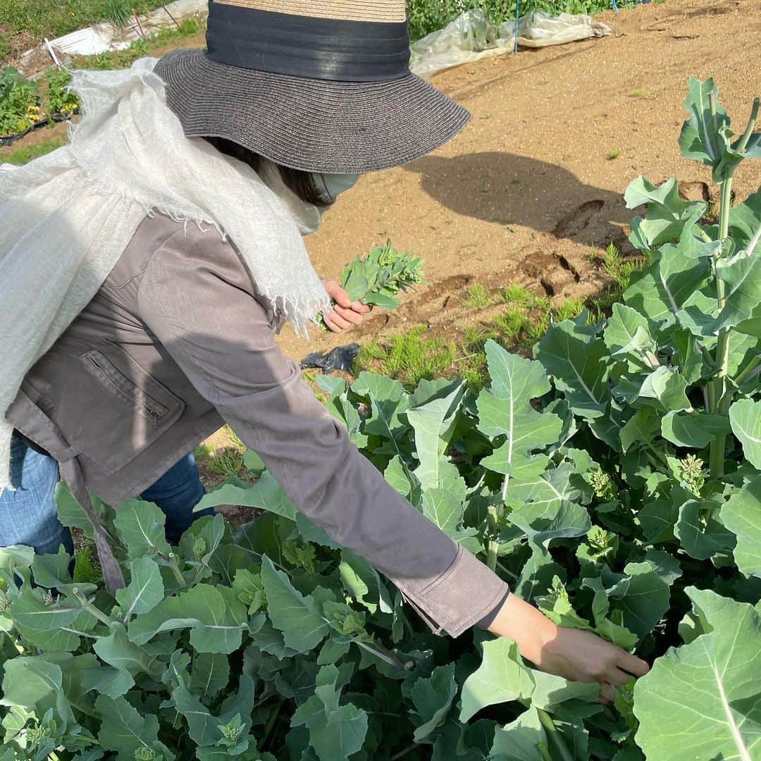 木村多江さんのインスタグラム写真 - (木村多江Instagram)「うふふ。　 たけのこ掘りだー。  きんかんに 山椒の葉 のらぼう菜も収穫。  はい、休憩〜🌸  収穫すると 本当に ありがとう、 って気分になるね。  なんだか 心が豊かになるみたいです😊」4月12日 10時25分 - taekimura_official