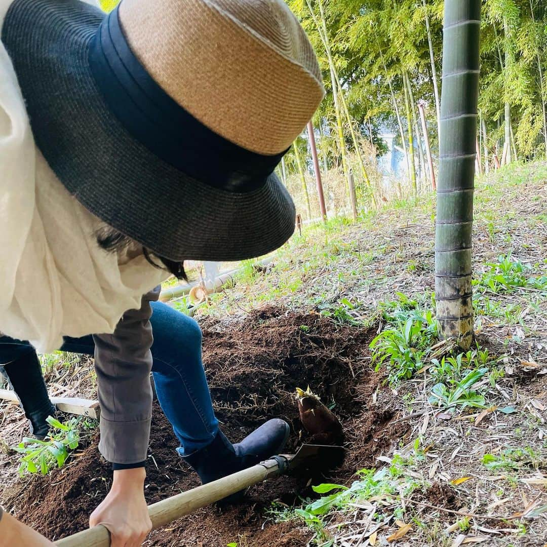 木村多江さんのインスタグラム写真 - (木村多江Instagram)「うふふ。　 たけのこ掘りだー。  きんかんに 山椒の葉 のらぼう菜も収穫。  はい、休憩〜🌸  収穫すると 本当に ありがとう、 って気分になるね。  なんだか 心が豊かになるみたいです😊」4月12日 10時25分 - taekimura_official