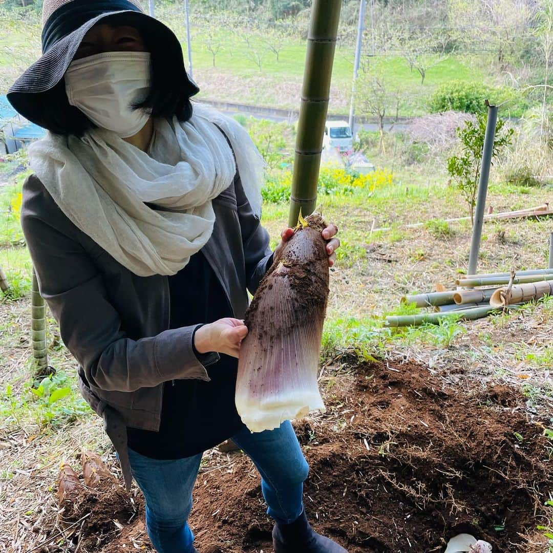 木村多江さんのインスタグラム写真 - (木村多江Instagram)「うふふ。　 たけのこ掘りだー。  きんかんに 山椒の葉 のらぼう菜も収穫。  はい、休憩〜🌸  収穫すると 本当に ありがとう、 って気分になるね。  なんだか 心が豊かになるみたいです😊」4月12日 10時25分 - taekimura_official