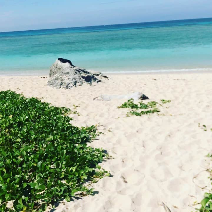 岸本哲也のインスタグラム：「🏝日本で最もきれいな海のひとつ、沖縄県波照間島のニシハマ🏝ビーチ好きの私が行った中でも、海の透明感がバツグンです。早く安心して旅行に行けるようになればいいですね。今は映像だけでも楽しもう🐬 🏝The Hateruma Island, Okinawa has one of the best beach in Japan. The water is so clear and transparent with beautiful white sand. I’d love to go back there anytime when things allowed. 🐬#beach #okinawa #hateruma #water #nature #beautiful #ocean #love #follow #corona #コロナに負けるな #likeforlikes #life #relax #healing #自然 #ビーチ #海 #沖縄 #波照間島 #旅行 #フォロー #travel #hawaii #ハワイ #trip」