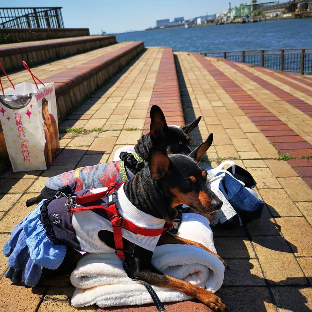CIMAのインスタグラム