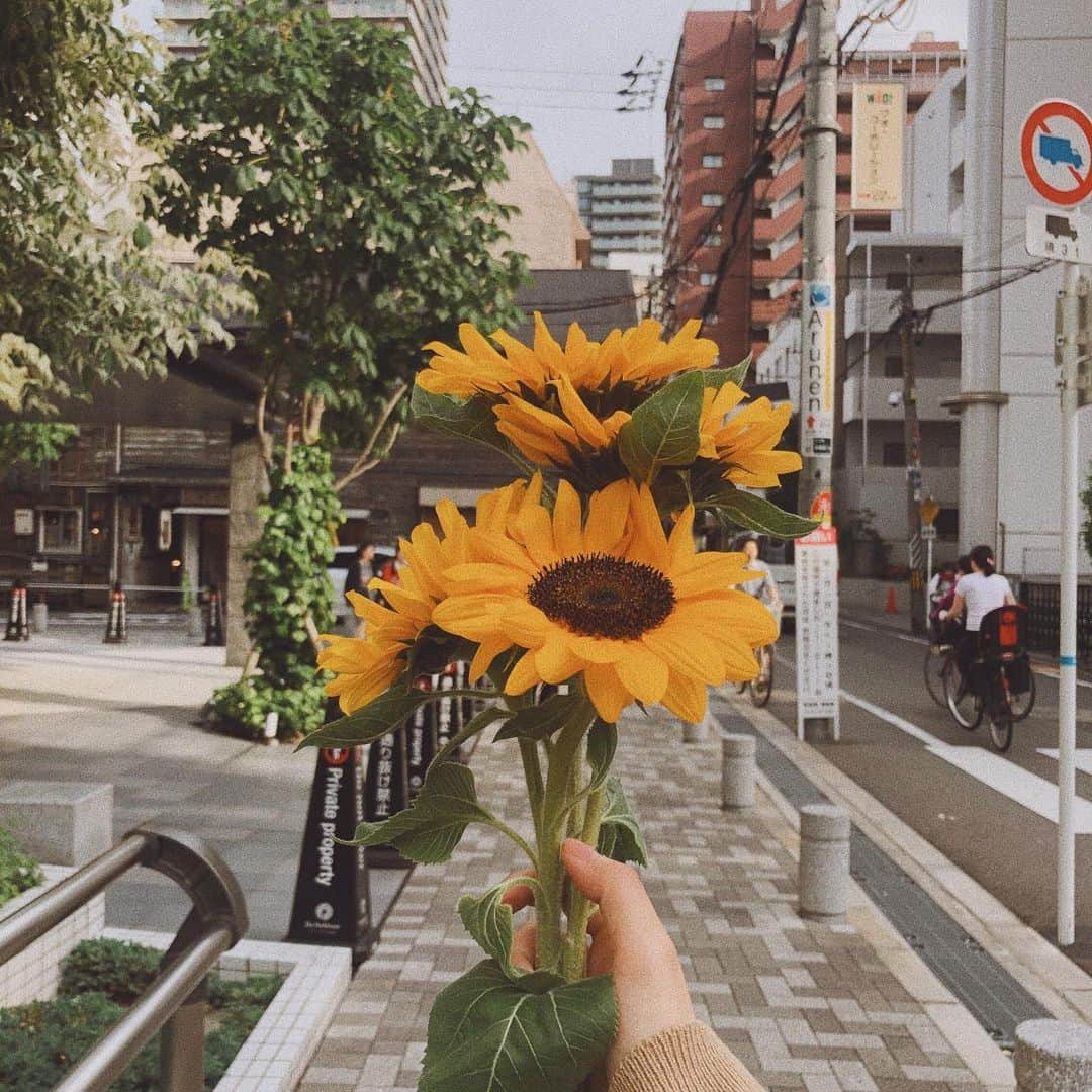 キム・ナヒさんのインスタグラム写真 - (キム・ナヒInstagram)「기억 속 여름의 분위기 🌻」4月12日 10時59分 - knhs2