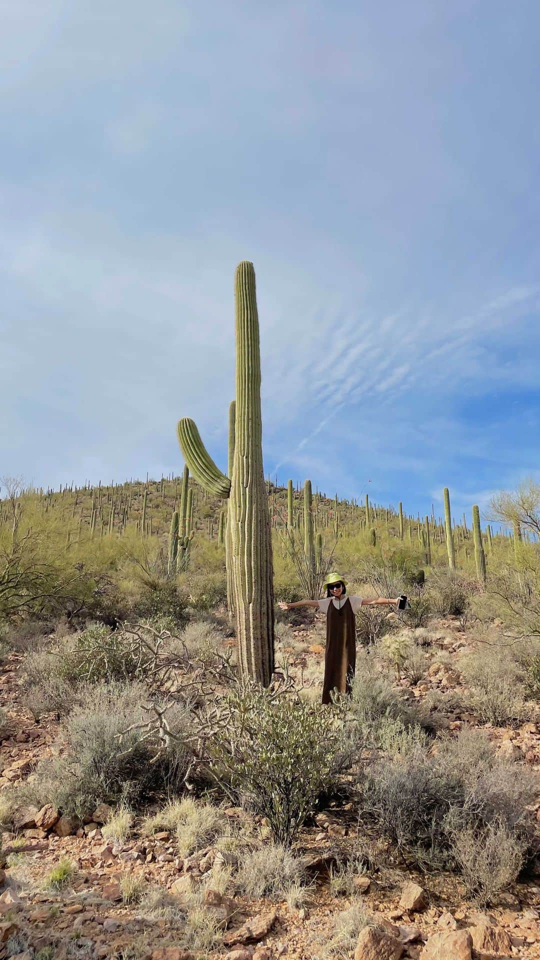 三苫愛のインスタグラム：「@natsu.no is in desert🌵🌼」