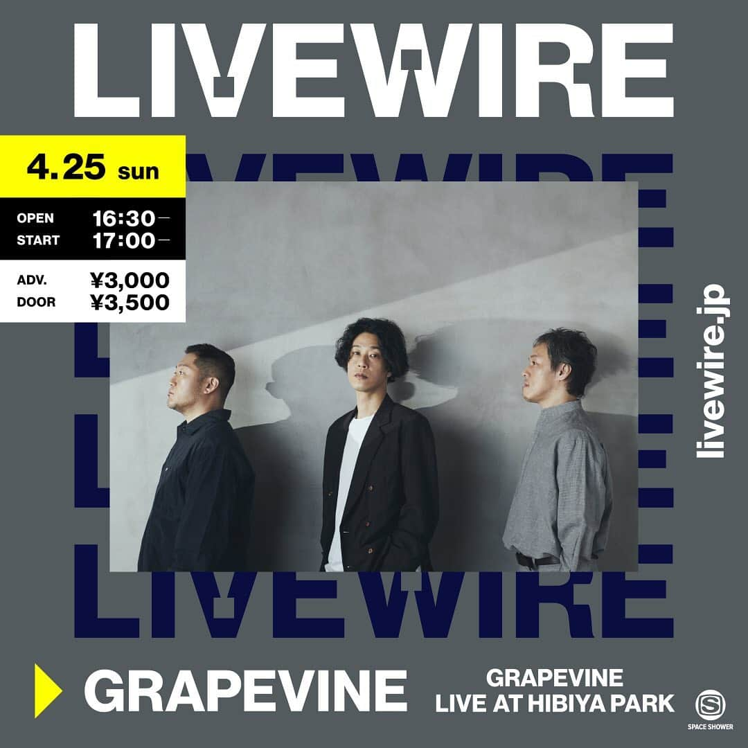 GRAPEVINEさんのインスタグラム写真 - (GRAPEVINEInstagram)「#grapevine_livewire  ﻿ 04.25(SUN)﻿ OPEN 16:30 / START 17:00﻿ チケット﻿ 前売 ¥3,000(税込) / 当日 ¥3,500(税込)﻿ 5/5(水)23:59まで見逃し配信」4月12日 19時42分 - news_grapevine