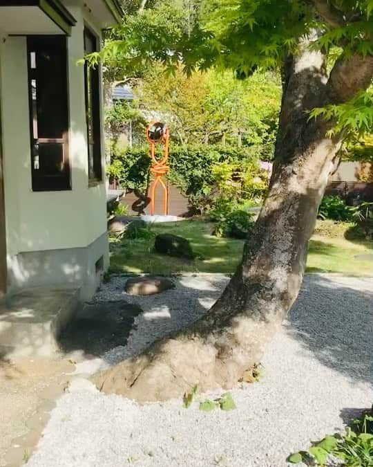 伊藤直樹のインスタグラム：「運営する鎌倉のシェアオフィスの庭に植樹ならぬ植アート。アーティストである田村さんと　@tam__tak 一緒に穴を掘って植えました。」