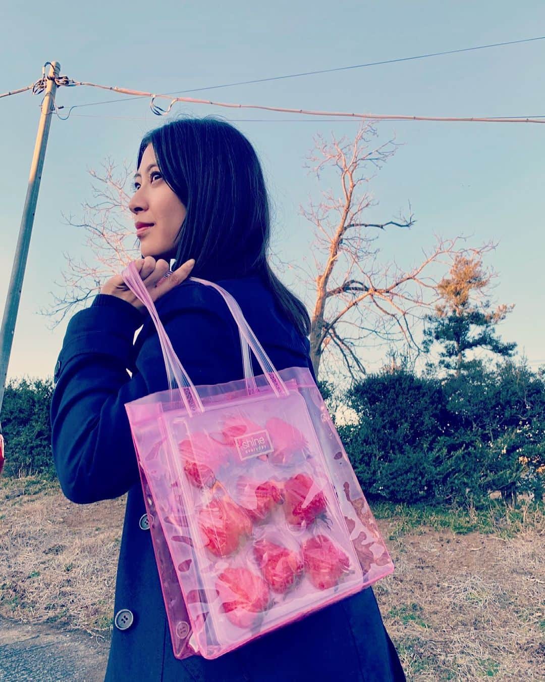 瀧本美織のインスタグラム：「🍓🍓 いただいて、とても嬉しかったです。 どうしてもこう持ちたかった様子。   #いちご  #これ何持ち」