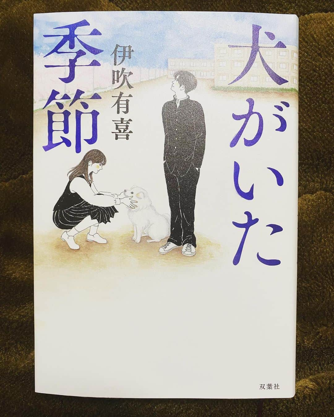 江上太悟郎のインスタグラム：「最近泣けた本「犬がいた季節」  三重県のとある学校で拾われ飼われることになった1匹の捨て犬・コーシロー。 18歳の悩み、友情、決意、旅立ち、恋など学生たちの青春を見守るコーシローの目線で物語が描かれています！ 学校にいるだけで、見送って待つことしかできないコーシローですが、彼らが大きくなって戻って来るための大事な存在。時間や空間を隔てていても、思いは一瞬で繋がることができると改めて気がつかせてもらいました😭  悩みながらも光り輝く高校生の青春のように、僕は今を真剣に生きてられているか。周りの人を思いやれているか。なりたかった自分になれているか。 ものすごく考えさせられましたが、読み終わった後、前向きで温かく優しい気持ちになれました😭  いやー…本って素敵ですね…😭 ありがとうコーシロー🐕  皆さんにも読んで欲しい一冊です！ ぜひ本屋さんで見つけたら手に取ってみてください🙇‍♂️  #犬がいた季節  #伊吹有喜  #双葉社  #本屋大賞ノミネート  #コーシロー #青春小説 #小説推理」