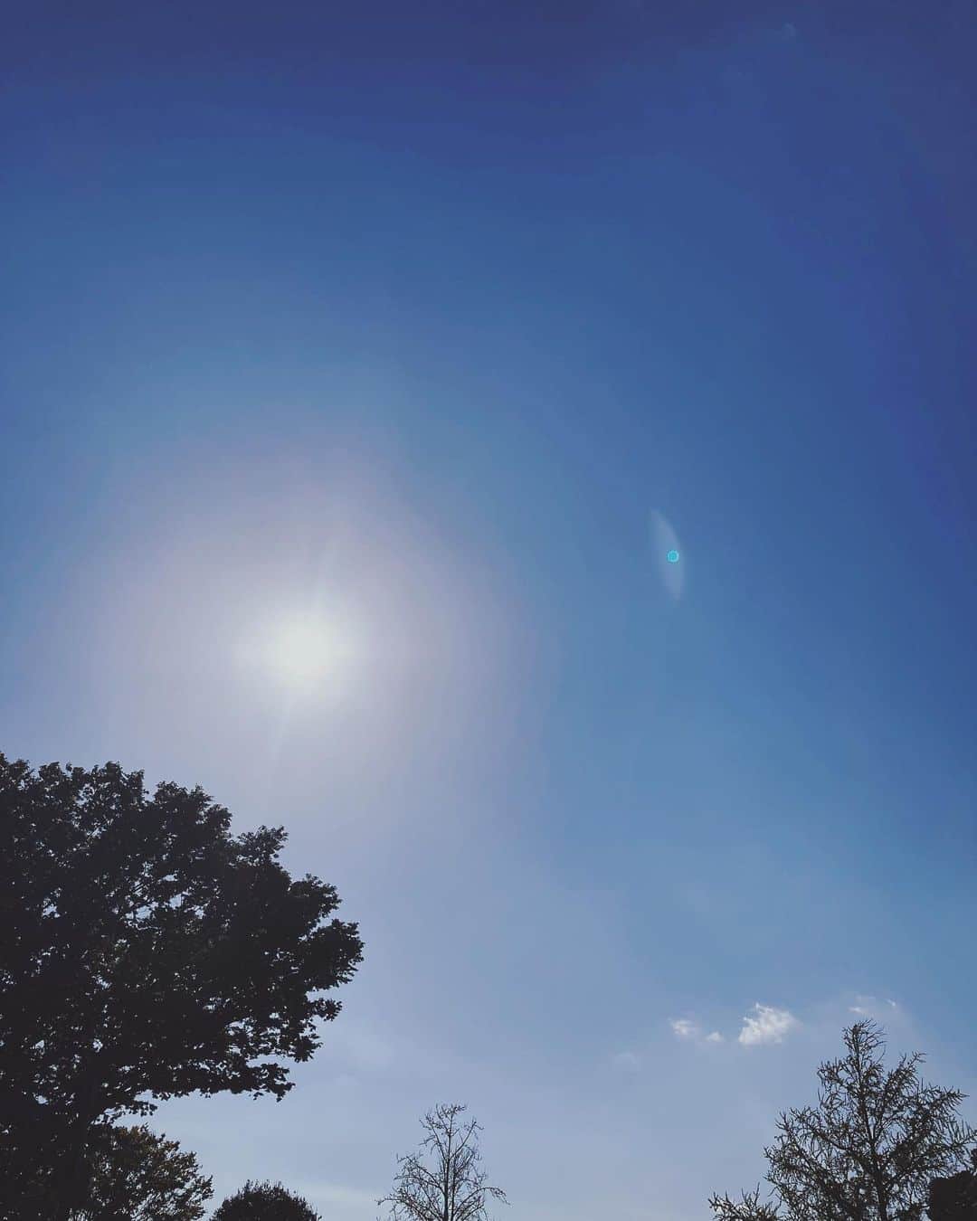 藤木由貴のインスタグラム