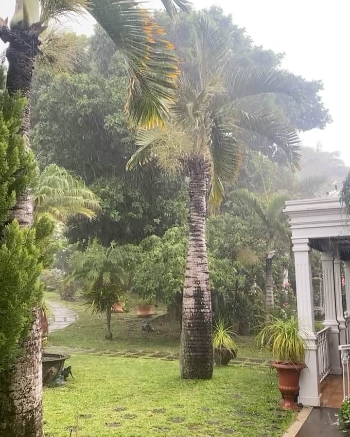 ポーリーヌ・オアロのインスタグラム：「It’s not always easy to live far away from the persons you love.. but it only makes these moments even more intense and unforgettable ❤️  Leaving under the most beautiful heavy rain. It won’t wash off all the incredible memories made !!! ☀️」