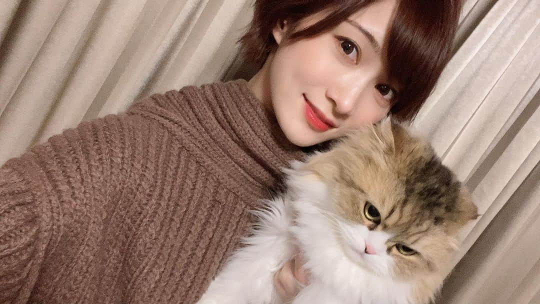 AYASAさんのインスタグラム写真 - (AYASAInstagram)「🐈 我が愛猫どやとヴィレヴァンさんのコラボグッズたちを早速ご注文下さった皆様ありがとうございます🐱💕 久しぶりにどやたんとツーショット撮ろうとしたらやっぱりカメラ目線は頂けず…しかもやっぱり不機嫌…(笑)  https://vvstore.jp/feature/detail/16108/ かわゆきどやグッズたちは18日まで予約受付中ですよ🐾  みんなで愛でよ❤️❤️ ・ ・ #どや #スコティッシュフォールド #スコティッシュフォールド折れ耳 #ヴィレヴァン #ヴィレッジヴァンガード  #商品化の夢が叶った」4月13日 10時30分 - ayasa_doya