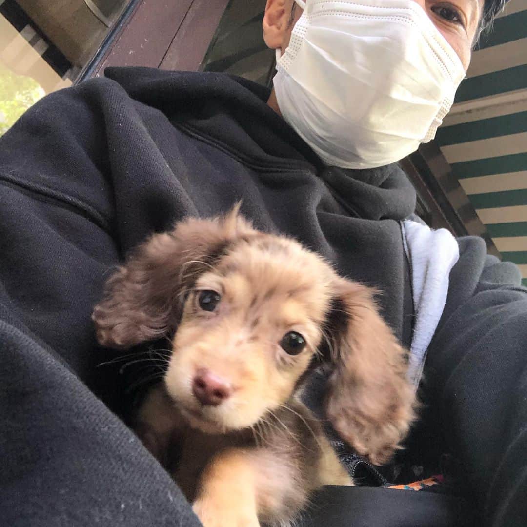 山口祥行のインスタグラム：「ダンベルに舎弟が出来たw #いぬすたぐらむ🐶」