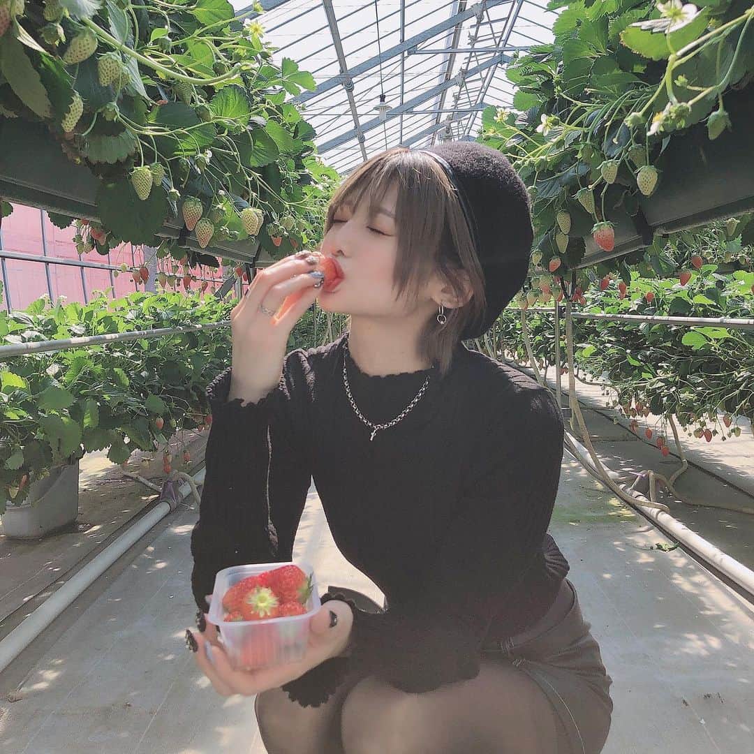 米倉みゆのインスタグラム