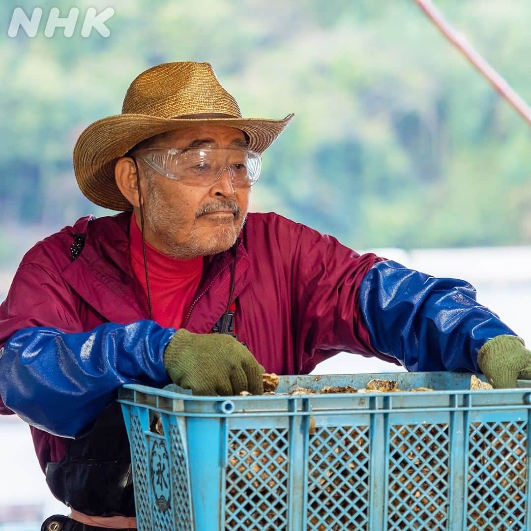 NHK「おかえりモネ」さんのインスタグラム写真 - (NHK「おかえりモネ」Instagram)「☺ #おかえりモネ 人物紹介🐟【 #藤竜也 】  百音の祖父・永浦龍己  海をこよなく愛する、カキ養殖の名人。 若い頃はマグロ船に乗る漁師として活躍していた🚢 寡黙で頑固だけど、優しいおじいちゃん。  🌞 #5月17日放送開始 🌞」4月13日 15時00分 - nhk_okaerimone