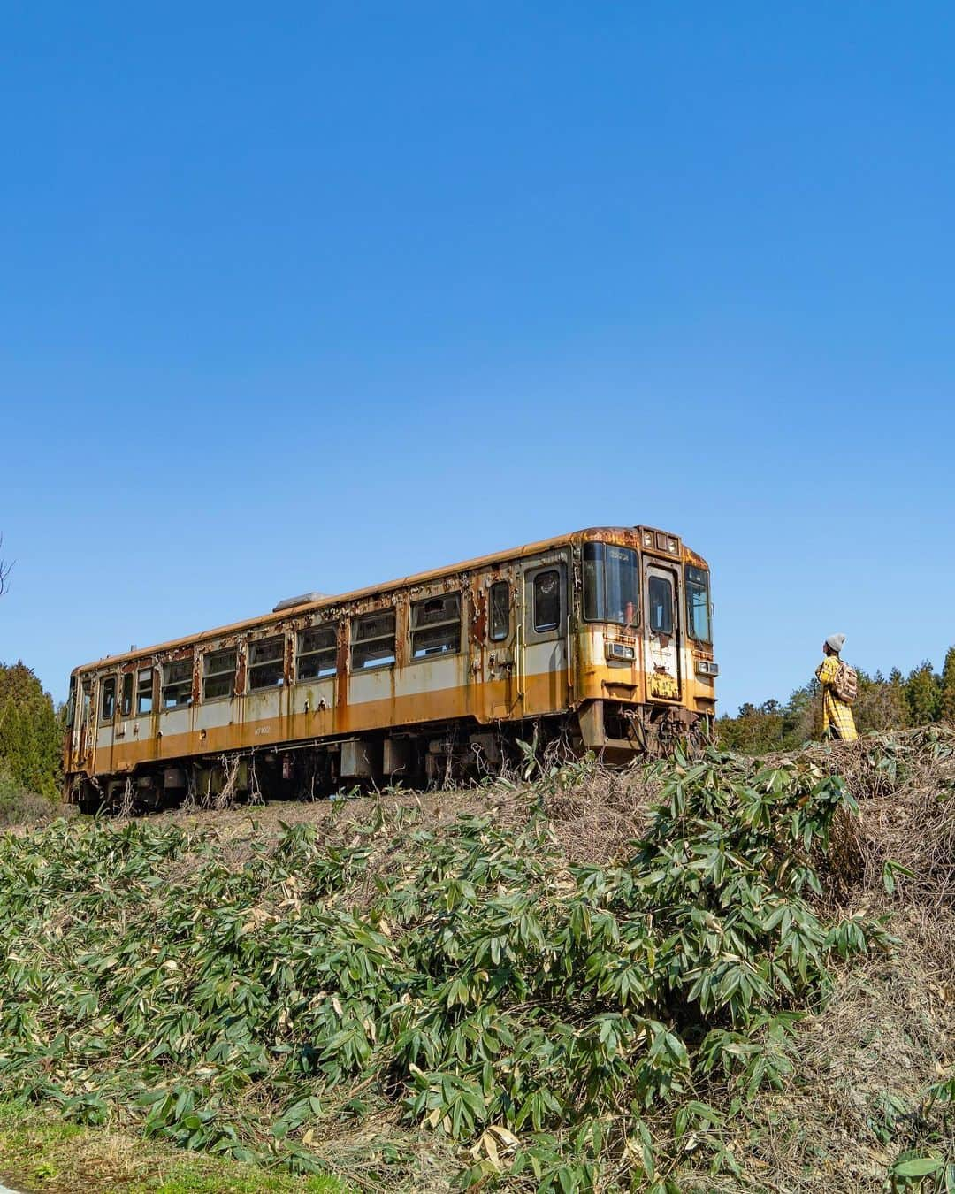 詩歩のインスタグラム：「Another spot of the #NotoRailway abandoned railway that I posted the other day.  I was looking at GoogleMap and wondering where it was, when suddenly this appeared in the middle of a rice field.  You can't go inside the car, but you can see the seats inside through the rotten hole. The exterior is rusty and ivy-covered, but the seats inside are surprisingly clean and look as they did when the train was in operation until 2005.  Please be careful when you visit this place, as it is not maintained for sightseeing.  🚃  先日もpostした #のと鉄道 廃線跡のもうひとつのスポット。  GoogleMapを見つつ「どこにあるんだろう…」と思いながら向かうと、急に田んぼの中にこれが現れてびっくり😳  車両の中には入れませんが、朽ちた穴からは中の座席の様子もチラリ。外観は錆びて蔦が絡まっているけれど、中の座席は以外にもキレイ。2005年まで動いていた当時の様子が感じられます。  でも「2005年」というと最近のように思えてしまうのは、私が年齢を重ねたからでしょうか…もう16年も前なんだね……笑  （観光のために整備された場所ではないので訪れる際はご注意ください）  🚃  お仕事で北陸3県を巡ってきました！  #shiho_hokuriku のタグで 富山 / 石川 / 福井 の写真をpostしていきます📷お楽しみに〜✨  🙏旅行を検討中の方へ﻿ 緊急事態宣言解除後も、引き続き感染症対策は必要です！  政府や自治体が発表している新型コロナウイルスの最新情報を確認し、遠方の感染拡大エリアへの訪問は控えるなどご自身で判断をお願いします。﻿#withコロナ旅行 での感染対策方法についてはyoutubeに動画をあげています。  @hotishikawa_tabinet  @nototown_tourism  📷 2021 📍旧のと鉄道 廃線跡地／石川県　能登半島 📍Old Noto Line of Noto Railway／Ishikawa Japan #shiho_ishikawa  ©詩歩 / Shiho」