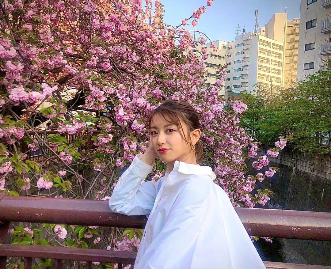 西村まどかさんのインスタグラム写真 - (西村まどかInstagram)「#八重桜 🌸 別名 #ぼたん桜 丸っこくて可愛い」4月13日 19時39分 - madoka_nsmr