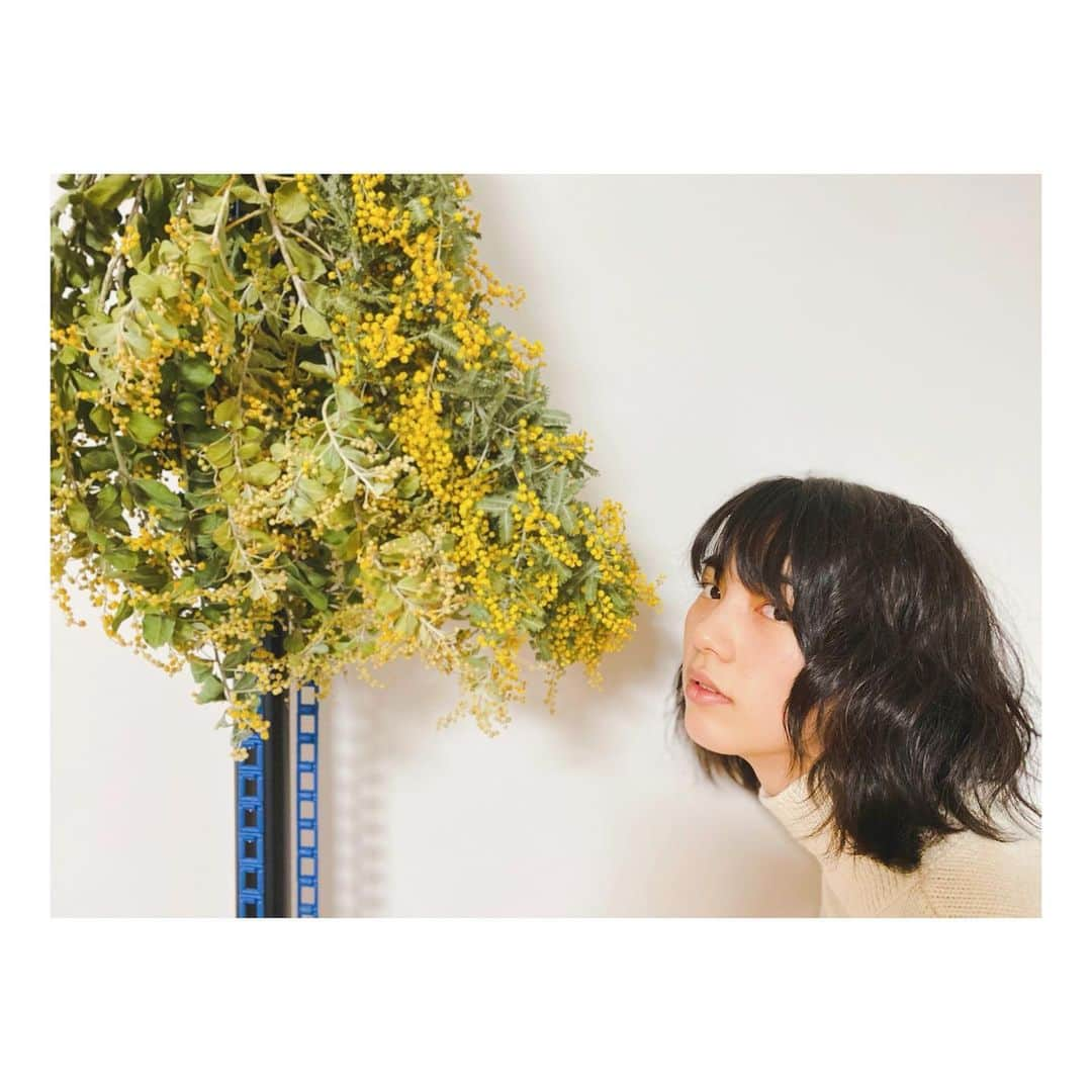 のん（能年玲奈）さんのインスタグラム写真 - (のん（能年玲奈）Instagram)「25ansの撮影にていただいたミモザをスタッフがドライフラワーにしてくれてました🌼」4月13日 21時30分 - non_kamo_ne