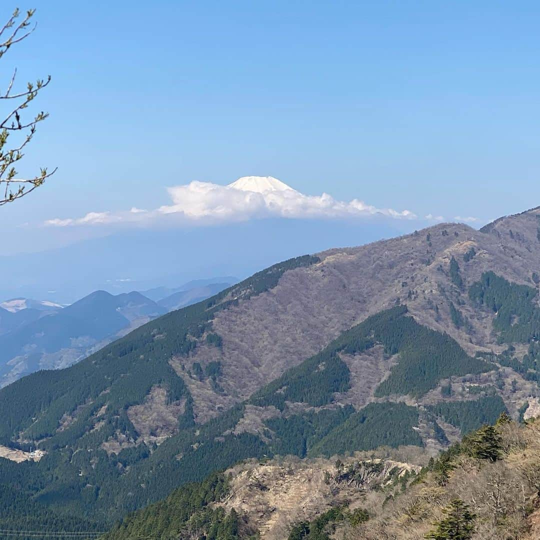 Natsuki（ナツキ）さんのインスタグラム写真 - (Natsuki（ナツキ）Instagram)「🏃‍♀️🏔☀️🏔☀️🏃‍♀️ . かけ足登山⛰ at 大山 ⸜ ❤︎ ⸝ . (動画のしゃべくりが一日中続くw) . 普段のステップ運動(2段)と 尻トレ🍑の成果？！で 脱落者ZERO🙏🏃‍♀️❤️ . わたしは前回登った時より🐖になってるから重り背負ってる感覚でハァハァしまくりw🤪🐖🤪 . 置いてかれないよーに 必死で登った😂 . Apple Watch🍎様によると、 どのレッスンよりもハートレート💘上がってた😂😂😂 . 疲れるから肉🐖早く落とさなきゃだわ🥵🐖 . . 富士山も綺麗に見えたし いいリフレッシュってゆーか、いい運動日和でした🤟🏾🎈🎉 . . 下山後は、、、 . 都内戻って、 75分の鬼トレ👹クラス👀 . パンパンの脚なのに、 ダンベル持ってステップやりましたぜよ笑笑😳💦💦💦 . みんなまぢで体力オバケ👻笑笑 . 終わった後の写真が すんごくいい顔してるぅ🥰 . 大人になって、 こんなにも一日中はしゃいでられるメンバー(※はしゃげる体力のあるメンバーか🤣w)と出会えたことに感謝しかありません🥰💘🙏❤️ . 有難うございます💕💕💕 . . 次回は、どこ行く？？🤪 . . #体力おばけ軍団 😂👻❤️ #巻き込みダイエット #みんなは痩せてる #巻き込み事故 🤣 #なつきに巻き込まれる皆様 #いつだってなんだって巻き込むタイプ 😂🙏 #ついてきてくれる優しさ ❤️ #いつも無茶振り 😂 #感謝 💘💘💘 #阿夫利神社 #大山 #山登り #遠足 #NATSUKIクラス #」4月14日 8時28分 - natsukiii78