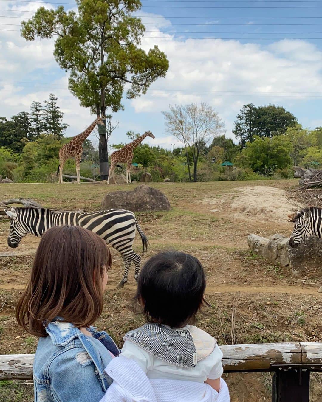 宮崎瑠依さんのインスタグラム写真 - (宮崎瑠依Instagram)「先日、天気の良い日によこはま動物園ズーラシアに行ってきました♪  念願の動物園デビュー🦓🦒  動く動物を目で追って、興味津々！  馬にえさをあげたり…息子は初体験が盛り沢山！！ かなり刺激的な1日だったようで、夜はいつも以上に爆睡していました💤  次は水族館だねっ🐡🐠🐟  本当はもっともっと息子を色んなところに連れて行ってあげたいけれど、、、なかなか出掛けられない現実…色々な経験をさせてあげられないことがもどかしい。。。  けど、一番大事なのは健康。 これから息子との時間はたっぷりあるから、焦らずゆっくり連れて行ってあげようって思います。  #動物園デビュー #シマウマ目の前を横断 #オカピ  #ズーラシア #よこはま動物園ズーラシア #家族時間」4月14日 8時18分 - ruimiyazaki