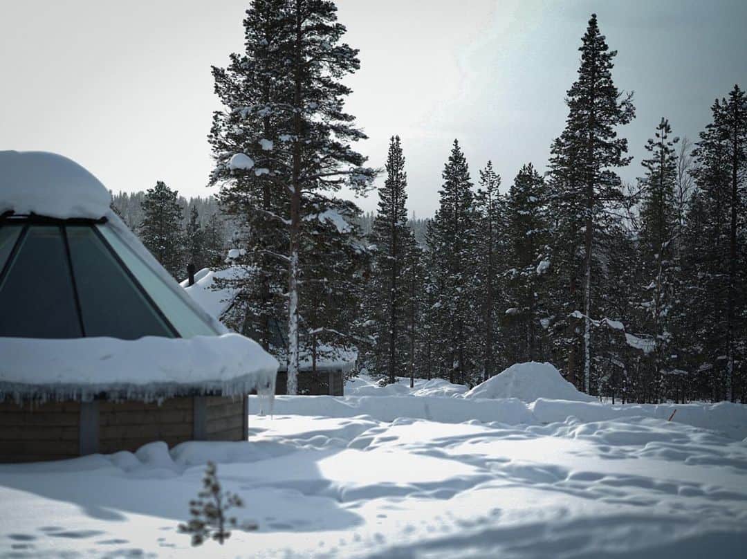 辰巳奈都子さんのインスタグラム写真 - (辰巳奈都子Instagram)「フィンランドのオーロラ旅行で絶対泊まりたかった、 ガラスイグルーﾟ𖡼ﾟ。 ・ ・ 部屋にいながらして運が良ければオーロラが見えるってやつです❄️ 1泊6万くらいしたかなぁ 高いよ〜🥲  #saariselkä#fin#finland#scandinavia#northenlights#northernlightsvillage#trip#travel #glass#igloo#glassigloo#room#aurora#cabin」4月14日 0時24分 - tatsumi_natsuko