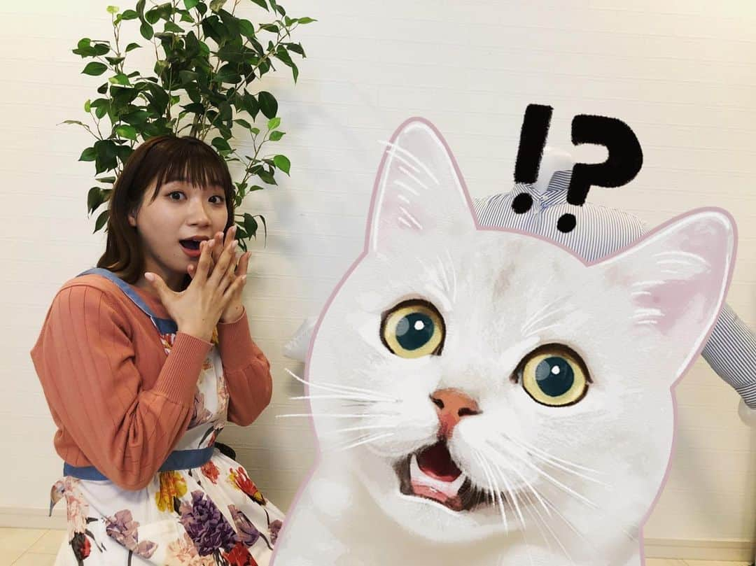 福岡放送「バリはやッ!」さんのインスタグラム写真 - (福岡放送「バリはやッ!」Instagram)「あす(4/15)の特集は…🎀  オシャレで機能的💄 新生活にもうひとつ足したい "プラスワン家電"をご紹介✨  あの面倒なアイロンがけから 解放される便利アイテムや👔 お湯を沸かす以外に何役もこなしてくれる電気ケトルなどなど🍳✨  あすからの生活… きっと快適になりますよ🧐  お見逃しなく❗️  #バリはや #バリはやっとる #新生活 #便利家電 #プラスワン家電 #ネコかわいい #小林茉里奈」4月14日 17時40分 - barihaya