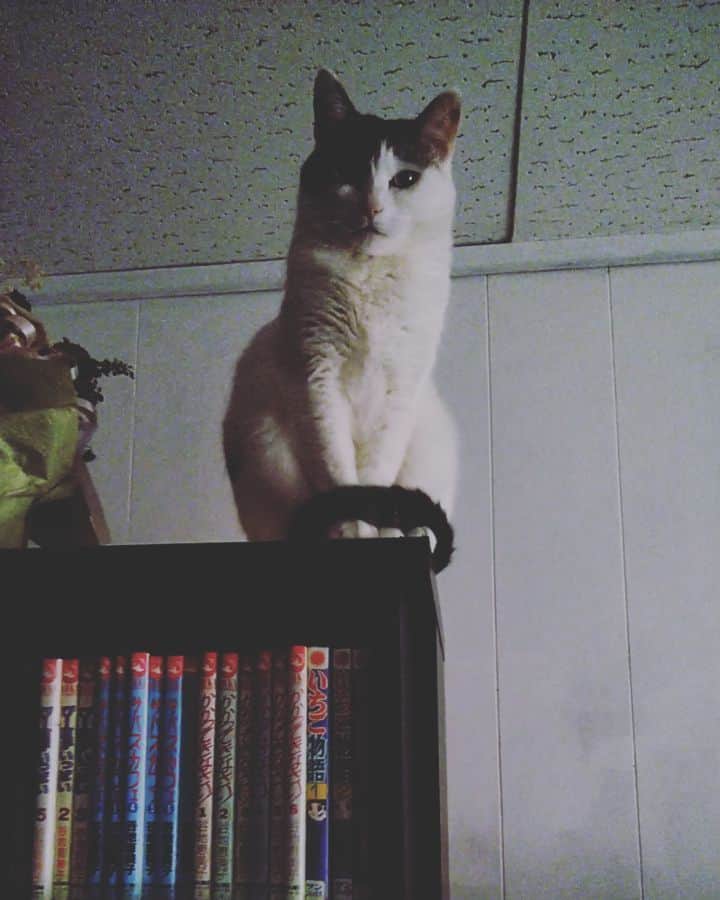 うさきこうのインスタグラム
