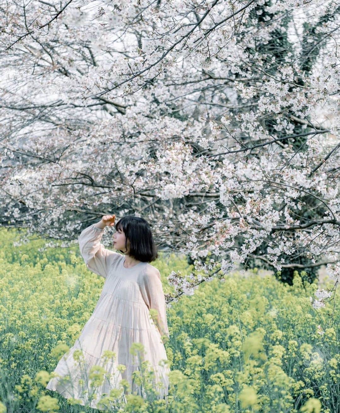 櫻間りえのインスタグラム