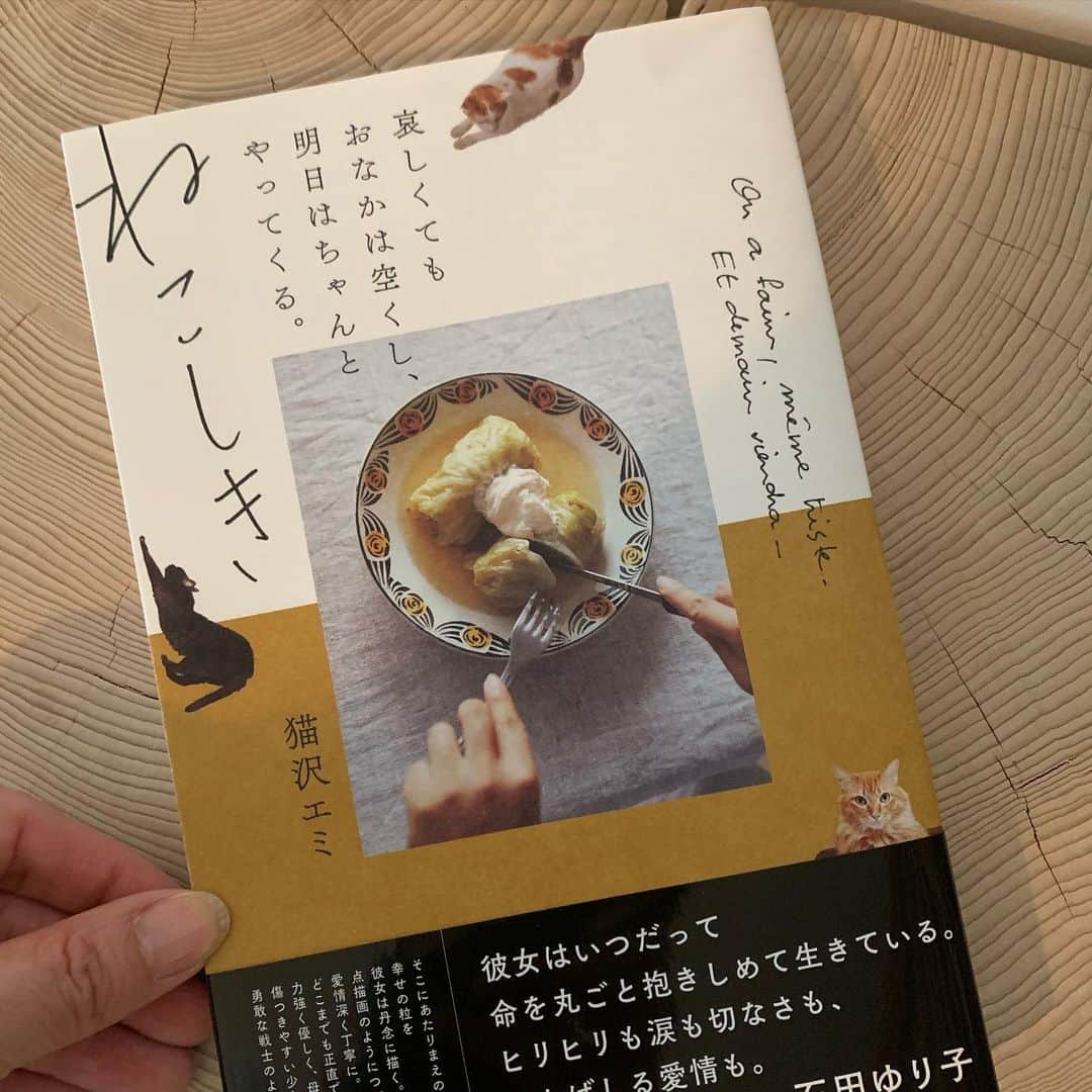 石田ゆり子さんのインスタグラム写真 - (石田ゆり子Instagram)「猫沢エミさんの本に 帯の文章を書きました。 この帯に書いたように この本には 猫沢エミさんという人の 熱量がほとばしっているように思います。 昨年の暮れに出会い、 本日に至るまでに 彼女に起こったいろんな出来事を思い返すに、 わたしはふと、 どんなに悲しいことがあろうとも 人は一生、少しずつ成長していける生き物なのだと 深く感じ入るのです。 そしてわたしもがんばろう、と素直に思う。 ねこちゃんおめでとうございます。読むたびに新しい発見があるよ。 (私の本には、ねこちゃんからもらったメッセージカードを 貼り付けてあります) #ねこしき」4月14日 13時09分 - yuriyuri1003