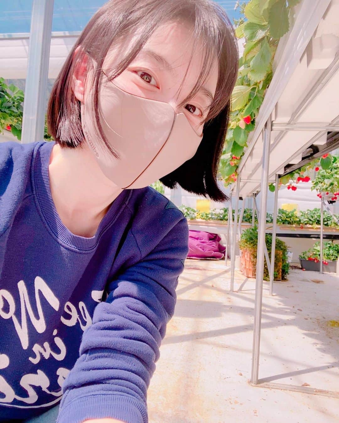 パク・スジンのインスタグラム：「🍓」