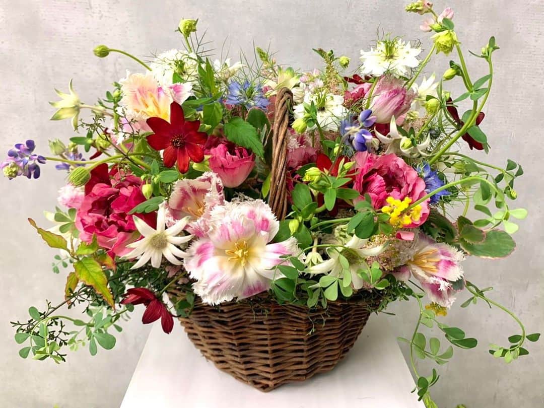 杉下理世のインスタグラム：「𝙵𝚕𝚘𝚠𝚎𝚛 𝙶𝚒𝚏𝚝 ⸝⋆ カゴのお花𓆸 春らしく、そして可愛らしさと上品さを兼ね備えた雰囲気に♡  #フラワーギフト #flowergift #flower #gift #贈り物 #プレゼント #生花アレンジメント #アレンジメント #カゴ花 #カゴアレンジ」