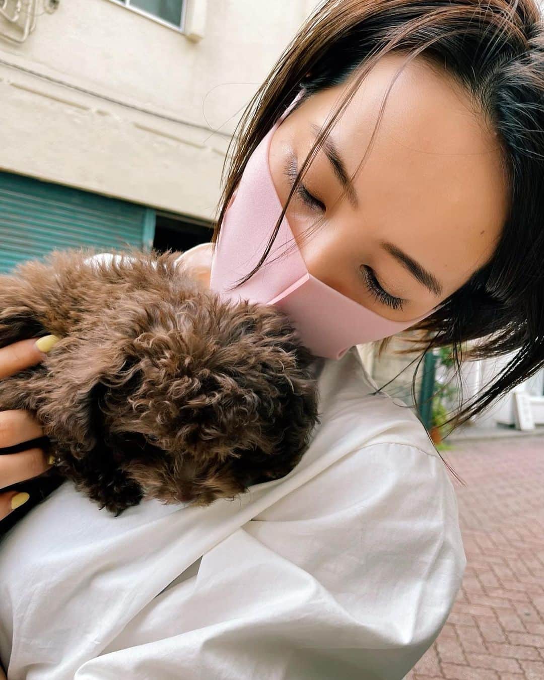 水崎綾女さんのインスタグラム写真 - (水崎綾女Instagram)「@aimu_tokyo  お外でふたりを待っている間☕️4枚目の写真がホラーすぎる。笑 #dog #いぬ #わんこ #ホラー」4月14日 18時50分 - misakiayame