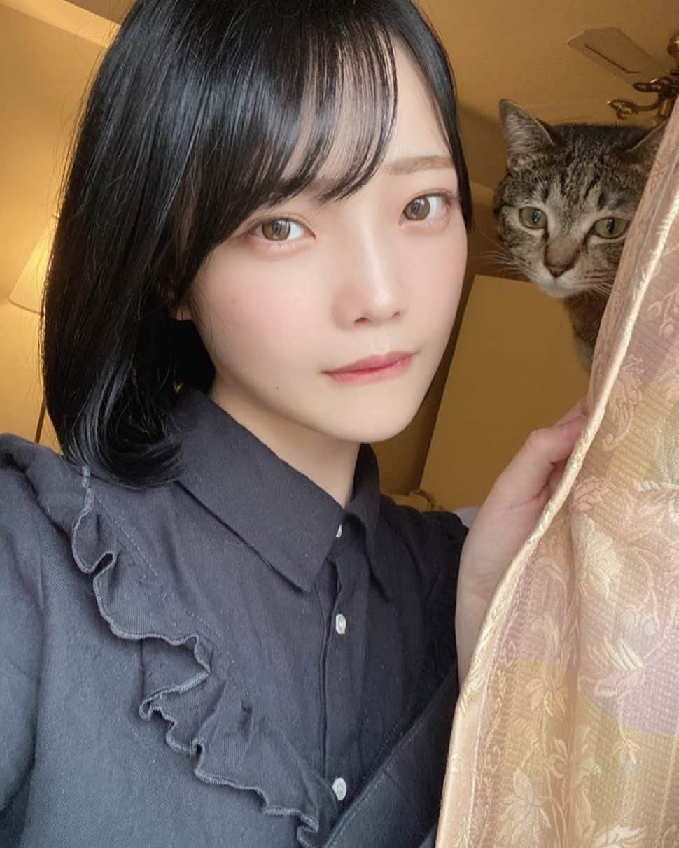 新谷姫加さんのインスタグラム写真 - (新谷姫加Instagram)「. . . New color 🐈 . . . わたなべさんいつもありがとうです🐬 @press.nabe ☺︎ . . .」4月14日 19時27分 - hime._.gram