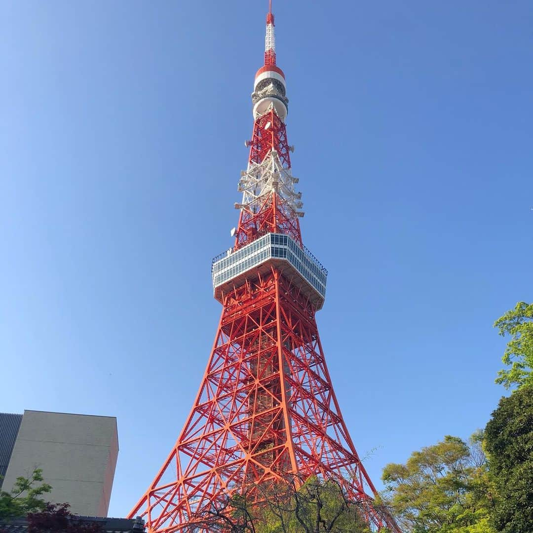 愛水せれ奈さんのインスタグラム写真 - (愛水せれ奈Instagram)「. #あまおうジュース  . #いちご 🍓5〜6個使っているそうです✨✨✨ それはそれは濃厚で高級感に溢れたお飲み物でした💓 美味しゅうございました🙇‍♀️ . . #うかい亭 #東京芝とうふ屋うかい  #とうふ  #庭園 #東京タワー」4月14日 20時10分 - airi.aaari.aimi