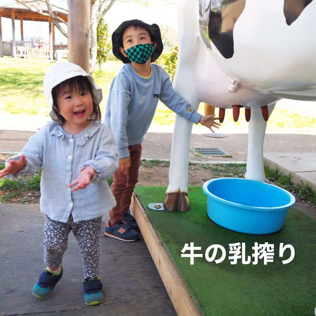 makikoさんのインスタグラム写真 - (makikoInstagram)「❤︎ 先週末はめちゃいい天気やった😊✨☀️ 緑いっぱいのところで過ごして気持ちよかった〜🌿🐑  3年ぶりくらいのうだアニマルパーク‼️ 動物にエサやり出来たり、遊具で遊んだり🤩🎶  楽しかったねー🥰  #うだアニマルパーク #牛の乳搾りが模型に変わってた #ことちゃん帽子ちゃんと被ってくれるようになってた #2歳 #2歳7ヶ月 #5歳 #兄妹 #親バカ部」4月14日 20時33分 - batako93