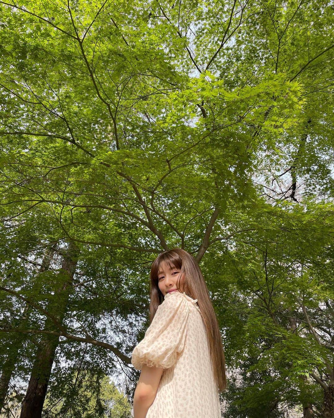 岡本杏理さんのインスタグラム写真 - (岡本杏理Instagram)「青々としたカエデがとっても綺麗でした🍃」4月14日 21時03分 - anri_okamoto