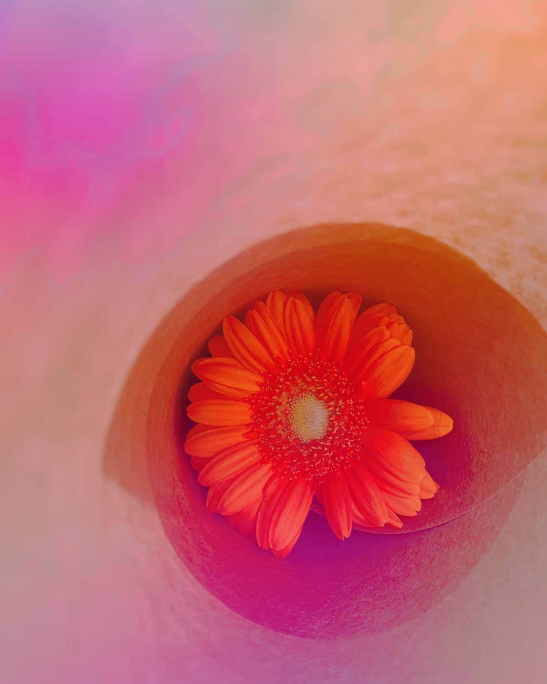 八坂沙織さんのインスタグラム写真 - (八坂沙織Instagram)「🧡」4月14日 22時16分 - saoriiiiiiiiiinu
