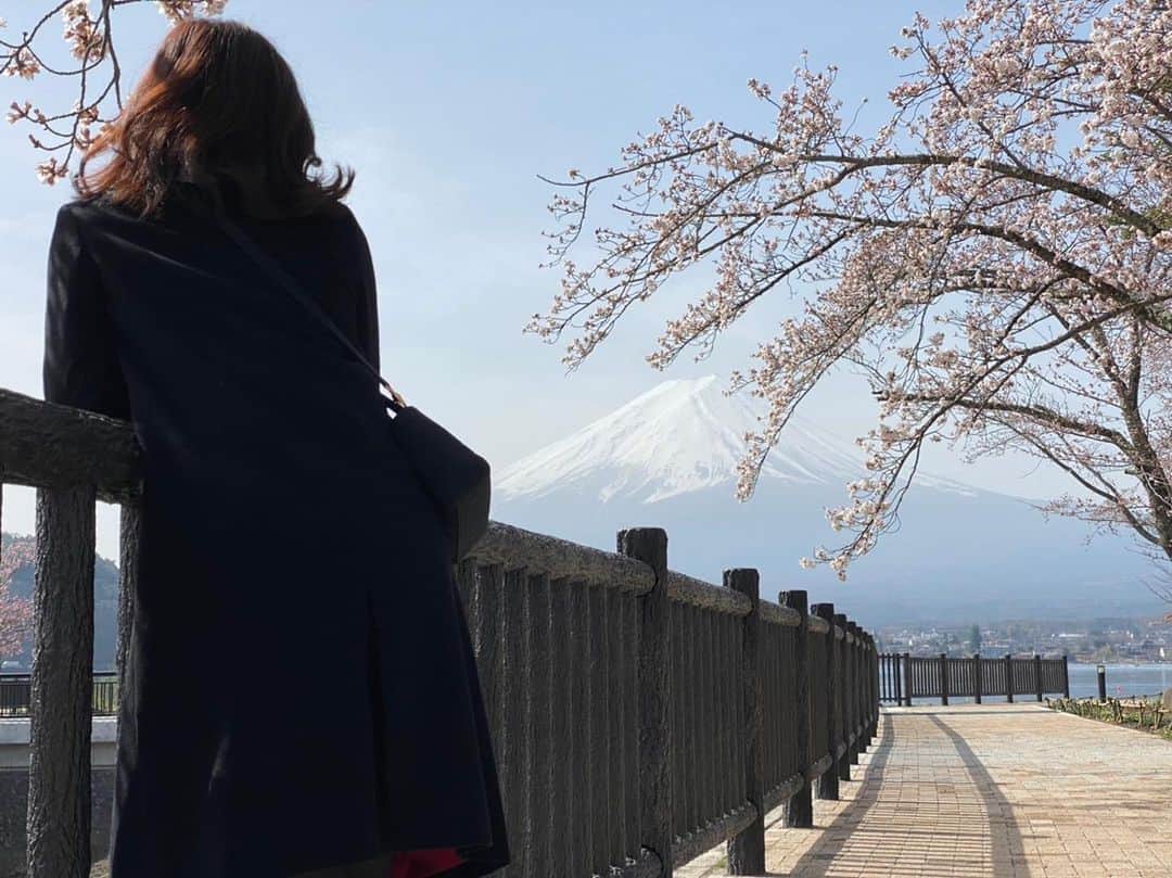 SAEKAさんのインスタグラム写真 - (SAEKAInstagram)「Best season🗻🌸  あったかい世の中に 幸せが沢山ありますように  #富士山 #冴旅 #japan」4月14日 23時32分 - saeka0220