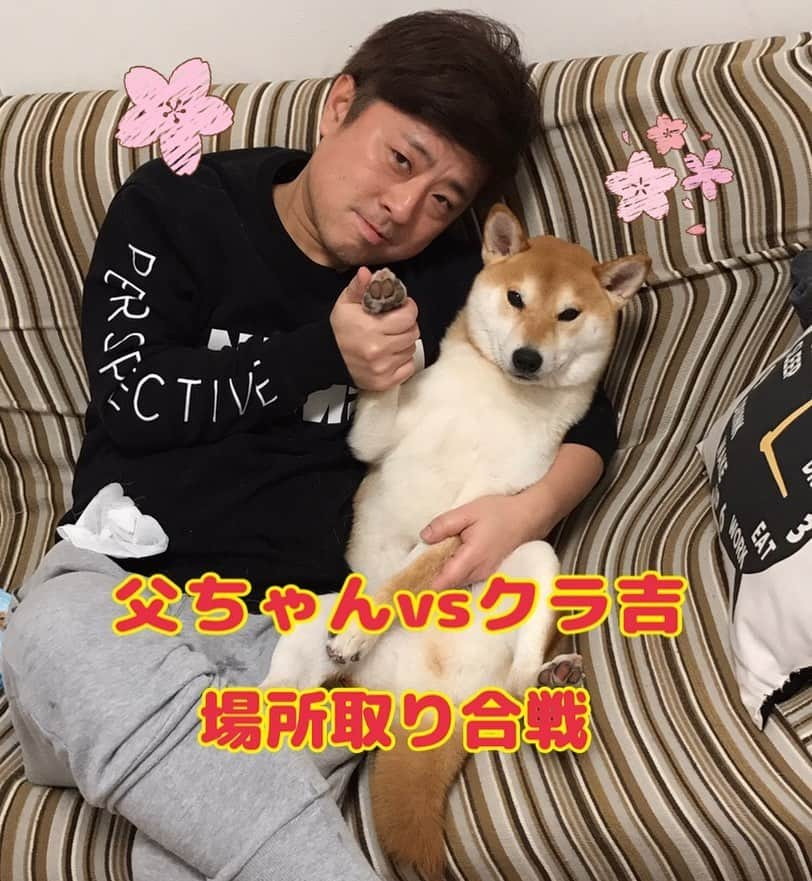 高橋みゆきさんのインスタグラム写真 - (高橋みゆきInstagram)「クラ吉vs父ちゃん🐶👨 いつもは可愛い2人の癒し動画ですが💓今回は賢いクラ吉をご覧下さい😁笑 #クラ吉 #柴犬 #たまに賢い #父ちゃん #戦い  #https://m.youtube.com/channel/UCGqUhEkc94FG3oW8CQZBh1A」4月15日 11時22分 - shin_miyukichi