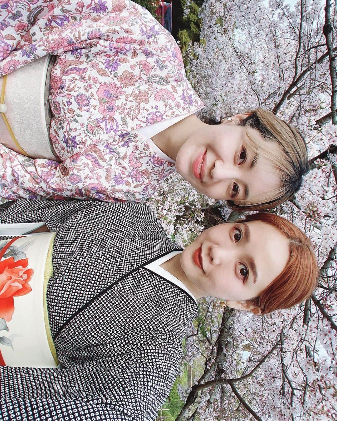 田中里奈さんのインスタグラム写真 - (田中里奈Instagram)「桜とお着物と。 お仕事がてら訪れた、4月初旬の京都にて🌸 新しいアイコンはこの日に撮ってもらったものです。  カメラロールを遡るたびに、京都で撮った桜ゾーンの主張が激しい…！ けど桜ってほんとずっと眺めてられるな〜。 桜のピンク色の華やかさって、なんでこんなに惹きつけられるんだろう。  今はまた気兼ねなく遠出するには難しい状況になってしまったけど、京都の投稿を少しずつ✍️  #桜 #たなか旅メモ #京都」4月15日 11時18分 - tanakaofficial