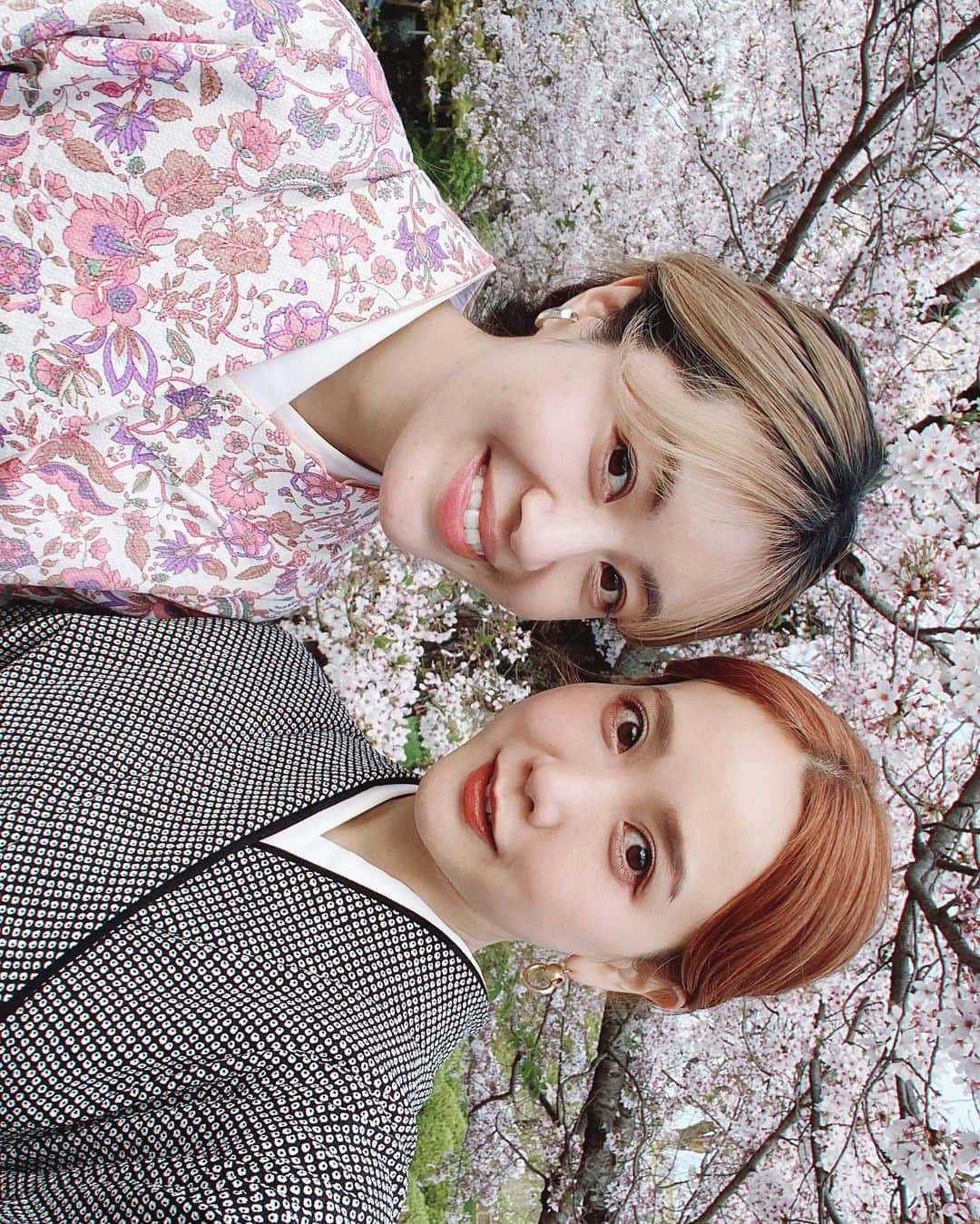 のインスタグラム：「桜とお着物と。 お仕事がてら訪れた、4月初旬の京都にて🌸 新しいアイコンはこの日に撮ってもらったものです。  カメラロールを遡るたびに、京都で撮った桜ゾーンの主張が激しい…！ けど桜ってほんとずっと眺めてられるな〜。 桜のピンク色の華やかさって、なんでこんなに惹きつけられるんだろう。  今はまた気兼ねなく遠出するには難しい状況になってしまったけど、京都の投稿を少しずつ✍️  #桜 #たなか旅メモ #京都」