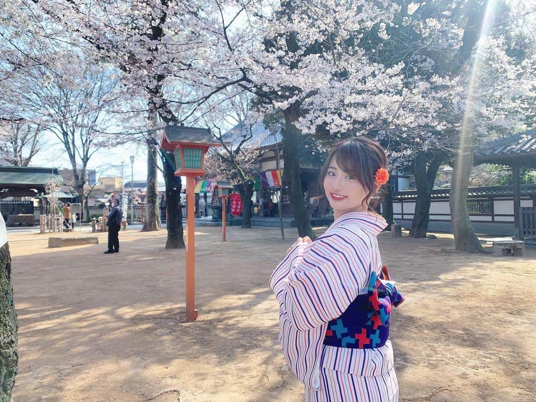 平嶋夏海さんのインスタグラム写真 - (平嶋夏海Instagram)「もうすっかり葉桜になっちゃって…🍃 去年も今年はプライベートでお花見できなかったなあ😞 来年こそはっ！！！」4月15日 11時59分 - natsuminsta528