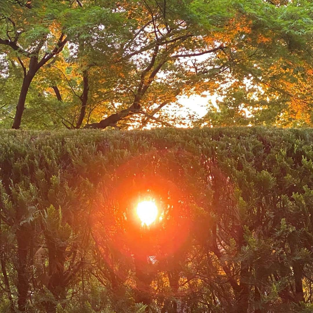 古村比呂さんのインスタグラム写真 - (古村比呂Instagram)「おはようございます。 今朝の朝陽は紅葉🍁をもプレゼント🎁 皆さまへ、元気玉をハイッとな➰ 今日一日が穏やかでありますように🌈  #古村比呂 #おはようございます #朝陽 #元気玉 #穏やかな一日になりますように」4月15日 7時14分 - hirokomura1124