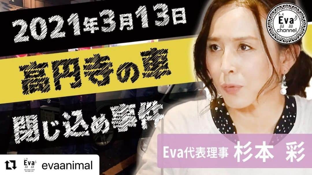 杉本彩さんのインスタグラム写真 - (杉本彩Instagram)「#Repost @evaanimal with @make_repost ・・・ 第32回Evaチャンネル【ネグレクトは許さない！】高円寺北 車中に犬2頭取り残され事案について  東京都杉並区高円寺北のパーキング車中に、柴犬とプードルが取り残されているという事案が起きました。 3月13日午後4時半頃Evaも現場に駆け付け、また多くの方に警察に通報していただいた結果、夜9時前に警察に保護されました。  今回は、こちらの事案について詳しくご報告いたします。  ■#32【ネグレクトは許さない！】高円寺北 車中に犬2頭取り残され事案について https://youtu.be/oyepEaUguQ0 ※プロフィールからご覧ください。  ■Evaレポートページ：高円寺北 車中に犬2頭取り残され事案(2021年3月) https://www.eva.or.jp/koenjikitatojikome  #高円寺北 #犬2頭車中閉じ込め事案 #動物虐待は許さない #動物虐待は犯罪です #緊急一時保護 #Evaチャンネル #動物環境福祉協会eva #杉本彩」4月15日 8時40分 - sugimoto_aya0719