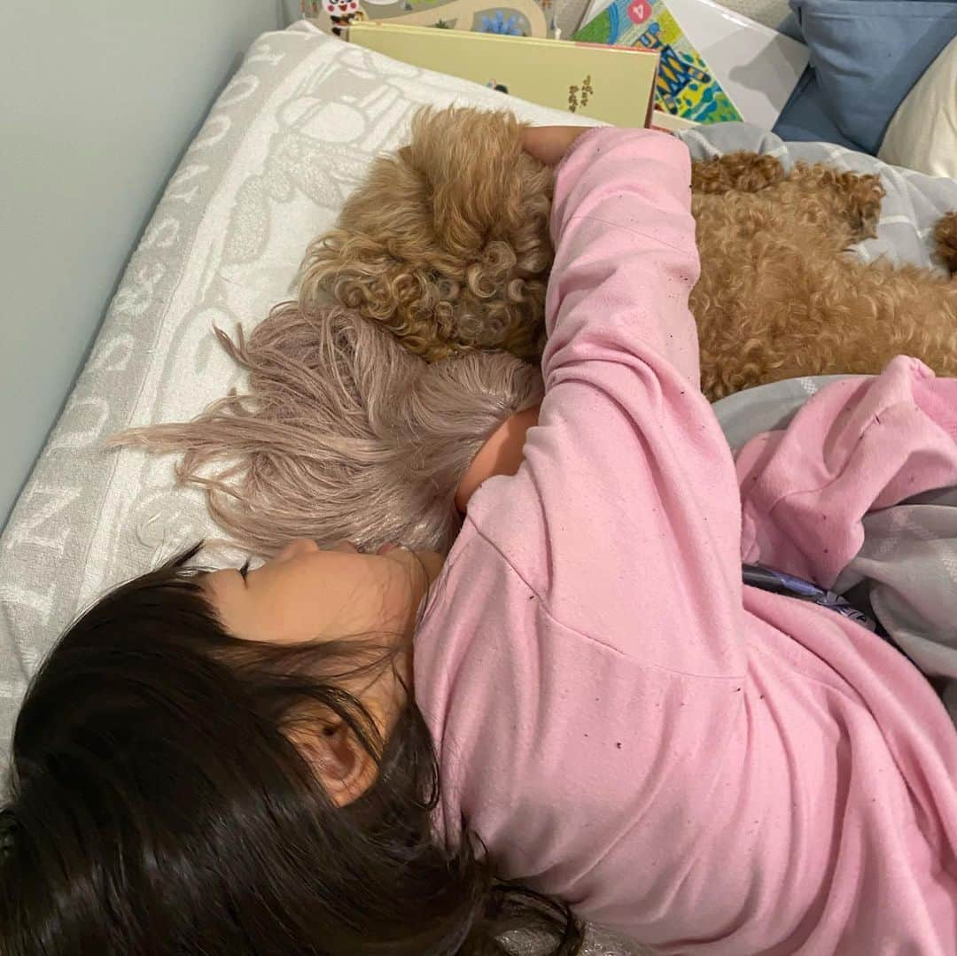 潮田玲子さんのインスタグラム写真 - (潮田玲子Instagram)「おはようお寝坊さん💓  #メルチャン #ワンコ🐶🐶 #一緒に寝るものが多い #今日も元気に登園 #楽しんできてね」4月15日 8時57分 - reikoshiota_official