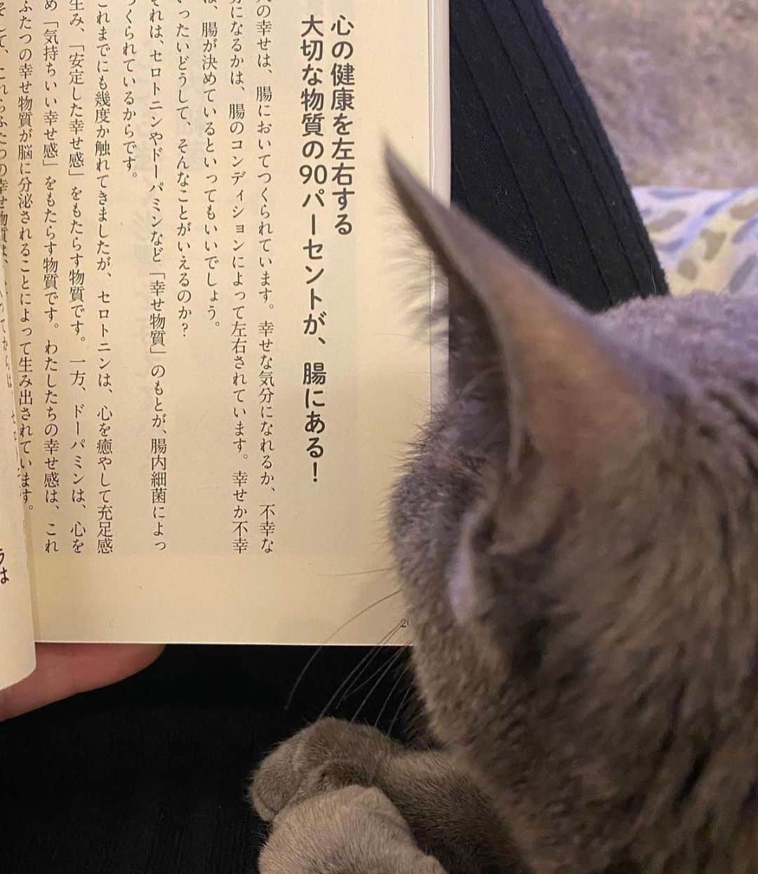 梨花 さんのインスタグラム写真 - (梨花 Instagram)「ふむふむ🐈‍⬛  #たくさんコメントくれたのにごめんにゃ 投稿し直しました」4月15日 10時39分 - rinchan521